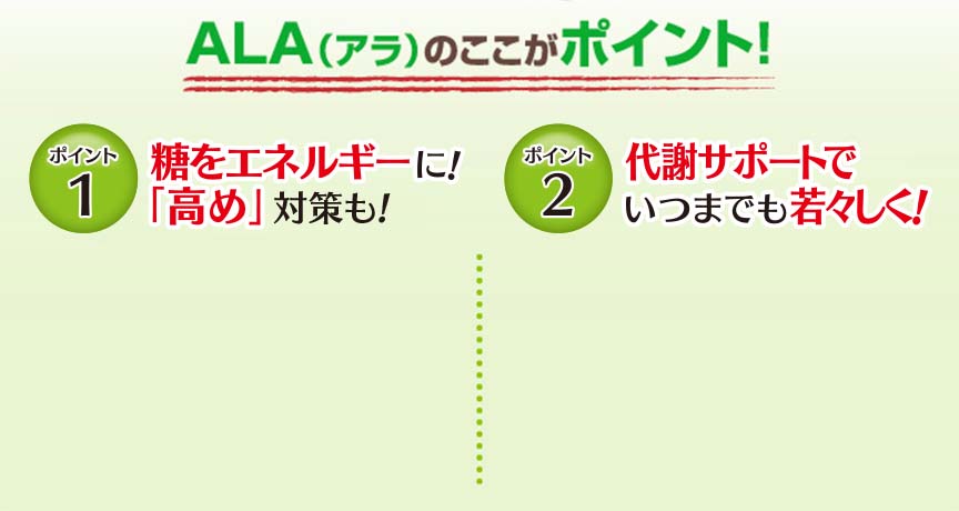 ALAの（アラ）ここがポイント! ポイント1 糖をエネルギーに! 「高め」もスッキリ! ポイント2 代謝サポートでいつまでも若々しく!