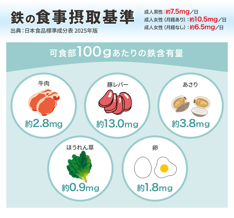 鉄の食事摂取基準 成人男性：約7.5mg／日 成人女性（月経あり）：約10.5mg／日 成人女性（月経なし）：約6.5mg／日