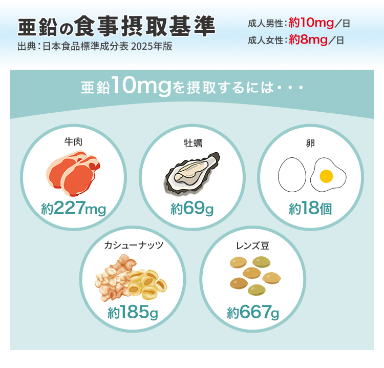 亜鉛の食事摂取基準 成人男性：約10mg／日,成人女性：約8mg／日