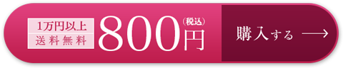 800円 購入はこちら