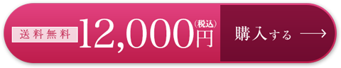 12,000円 購入はこちら