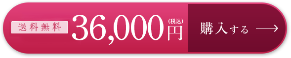 36,000円 購入はこちら